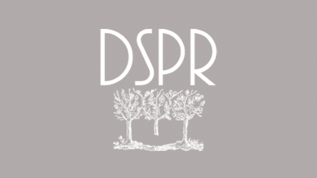 rådgive dialog Karakter DSPR Forårsmøde | Safeticket